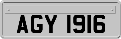 AGY1916