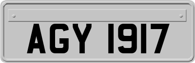 AGY1917
