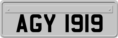 AGY1919
