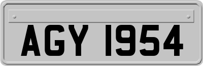 AGY1954
