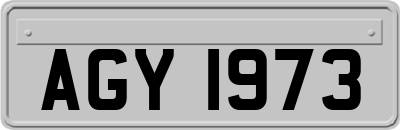 AGY1973