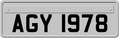 AGY1978