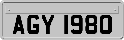 AGY1980