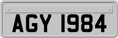 AGY1984