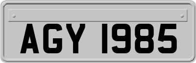 AGY1985