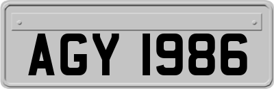 AGY1986
