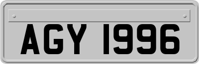 AGY1996