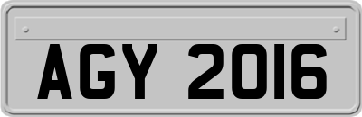 AGY2016