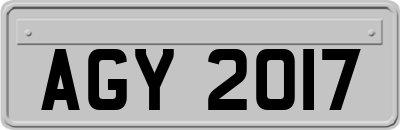 AGY2017