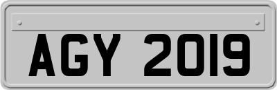 AGY2019