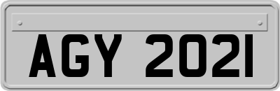 AGY2021