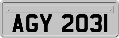 AGY2031