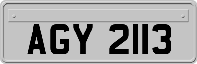 AGY2113