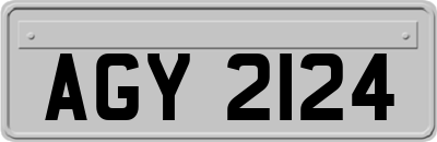 AGY2124