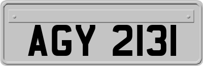 AGY2131