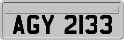 AGY2133