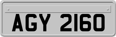 AGY2160
