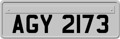 AGY2173
