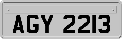 AGY2213