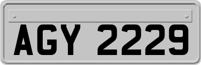 AGY2229