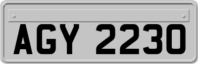 AGY2230