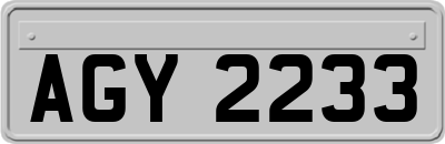 AGY2233