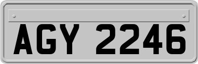 AGY2246