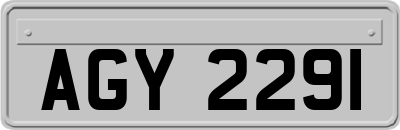 AGY2291