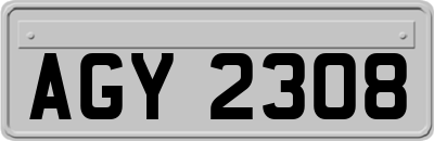 AGY2308