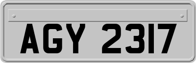 AGY2317