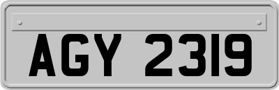 AGY2319