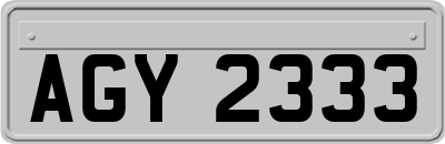 AGY2333