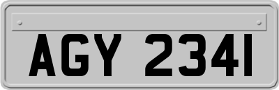 AGY2341