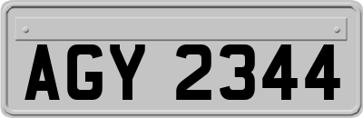 AGY2344