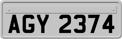AGY2374