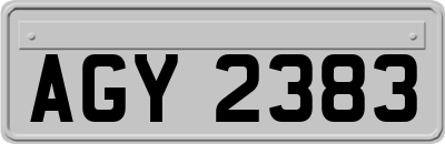 AGY2383