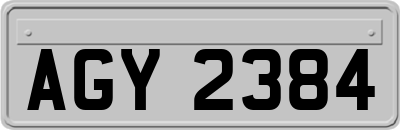 AGY2384