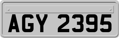 AGY2395