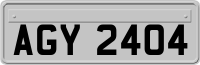 AGY2404