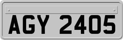 AGY2405