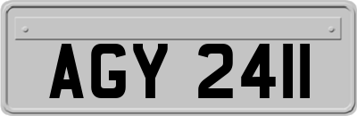 AGY2411