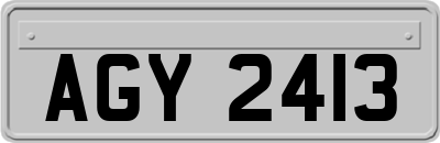 AGY2413
