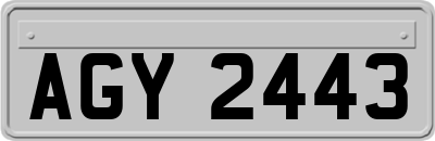 AGY2443