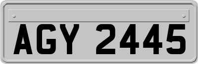 AGY2445