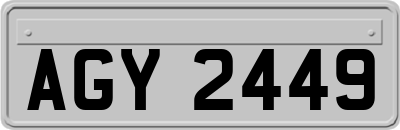AGY2449