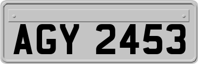 AGY2453