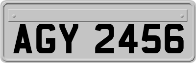 AGY2456