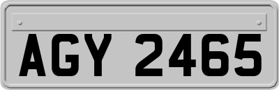 AGY2465