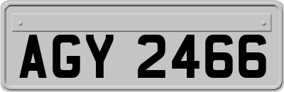 AGY2466