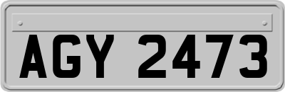 AGY2473
